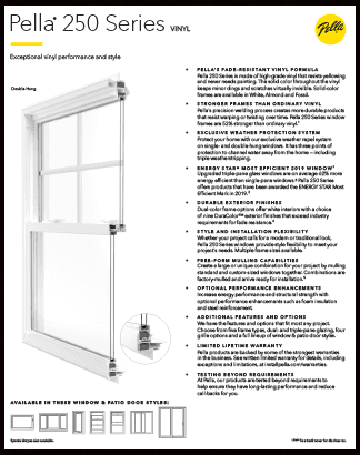 brochure thumbnail pro 250 Series